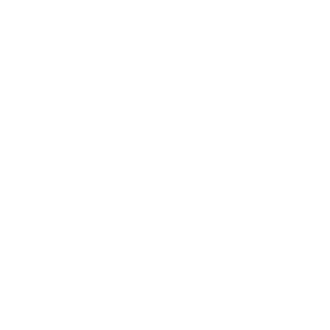 Singularity Search logo
